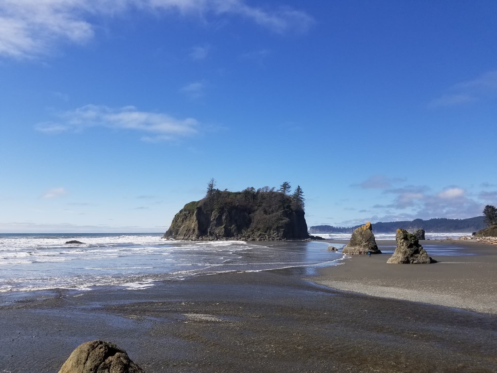 Seattle & the Pacific Northwest